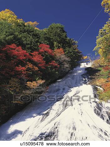 Stock Photo - Yutaki Falls with autumnal leaves, Kanagawa Prefecture, Japan. Fotosearch