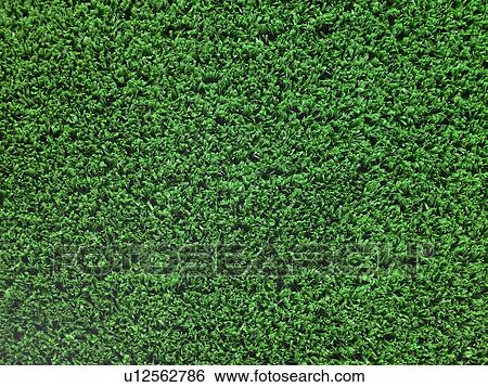 Artificial Turf Background View Large Photo Image Stock Photograph - Artificial Turf Background. Fotosearch