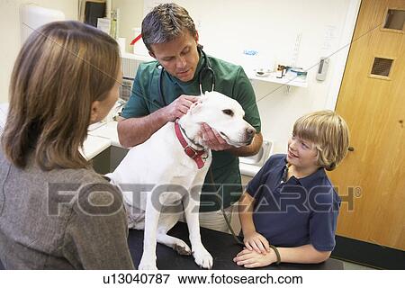 Stock Photo - Boy And Mother Taking Dog For Examination By Vet. Fotosearch