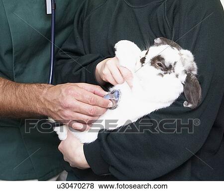 Stock Photo - Children Taking Sick Rabbit To Vet . Fotosearch