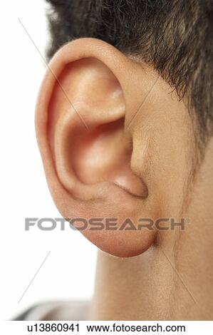 Close-Up Of Young Boy's Ear View Large Photo Image Stock Image - Close-Up Of Young Boy's Ear. Fotosearch