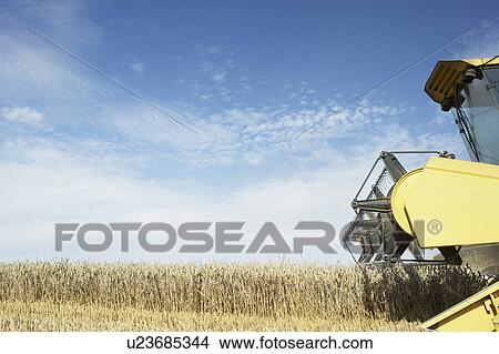 Combine Harvester Working In Field View Large Photo Image Picture - Combine Harvester Working In Field. Fotosearch