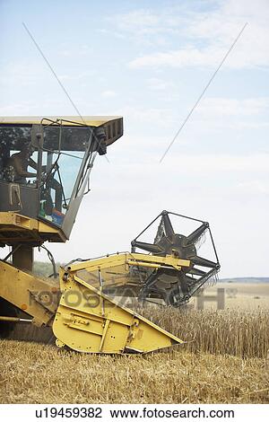 Stock Image - Combine Harvester Working In Field. Fotosearch