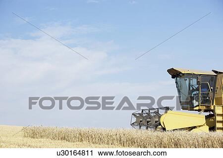 Combine Harvester Working In Field View Large Photo Image Stock Image - Combine Harvester Working In Field. Fotosearch