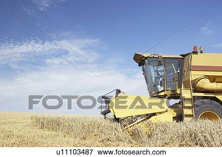 Combine Harvester Working In Field View Large Photo Image Stock Photo - Combine Harvester Working In Field. Fotosearch