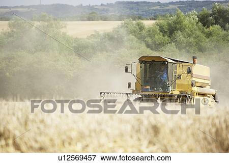 Stock Photo - Combine Harvester Working In Field. Fotosearch