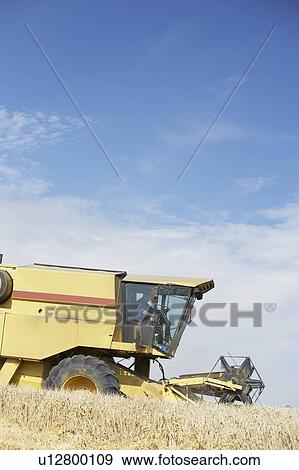 Stock Photo - Combine Harvester Working In Field. Fotosearch