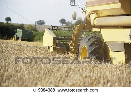 Stock Photo - Combine Harvester Working In Field. Fotosearch