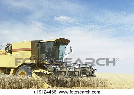 Combine Harvester Working In Field View Large Photo Image Stock Photograph - Combine Harvester Working In Field. Fotosearch