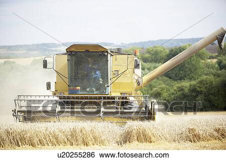 Combine Harvester Working In Field View Large Photo Image Stock Photograph - Combine Harvester Working In Field. Fotosearch