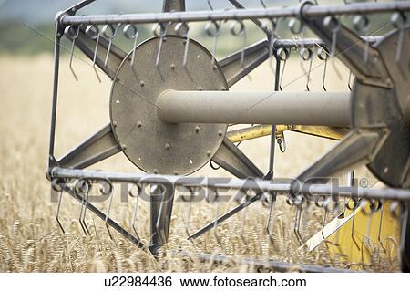 Stock Photograph - Combine Harvester Working In Field. Fotosearch