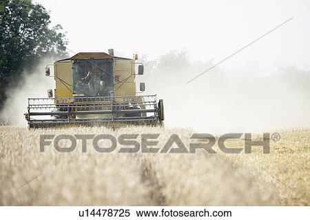 Combine Harvester Working In Field View Large Photo Image Stock Photography - Combine Harvester Working In Field. Fotosearch