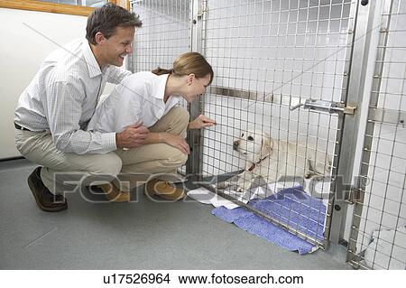 Couple Visiting Pet Dog View Large Photo Image Picture - Couple Visiting Pet Dog. Fotosearch