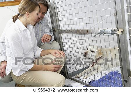 Stock Image - Couple Visiting Pet Dog. Fotosearch