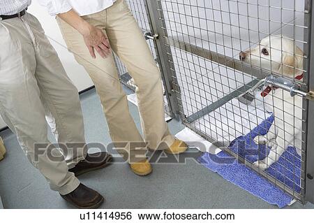 Couple Visiting Pet Dog View Large Photo Image Stock Photograph - Couple Visiting Pet Dog. Fotosearch