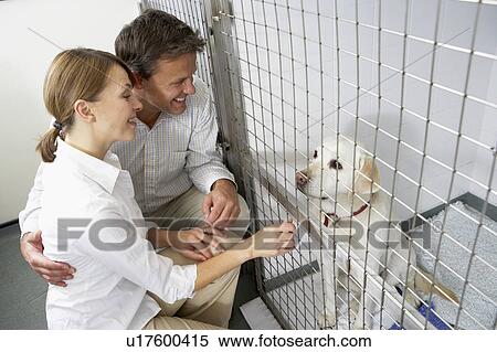 Couple Visiting Pet Dog View Large Photo Image Stock Photography - Couple Visiting Pet Dog. Fotosearch
