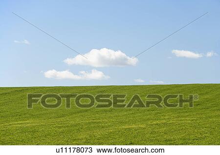 Farm Field With Blue Sky View Large Photo Image Stock Image - Farm Field With Blue Sky. Fotosearch
