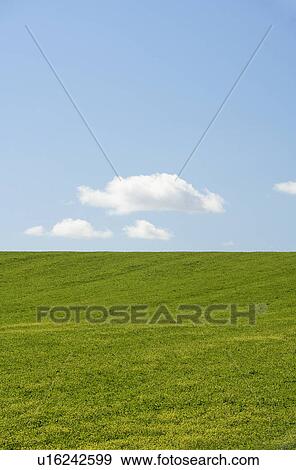 Farm Field With Blue Sky View Large Photo Image Stock Photo - Farm Field With Blue Sky. Fotosearch