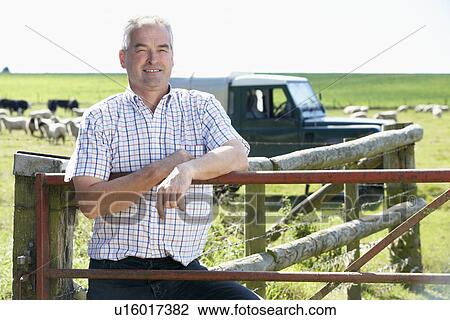 Farm Worker With Flock Of Sheep View Large Photo Image Stock Image - Farm Worker With Flock Of Sheep. Fotosearch