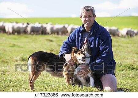 Stock Photograph - Farm Worker With Flock Of Sheep. Fotosearch