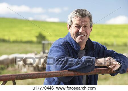 Farm Worker With Flock Of Sheep View Large Photo Image Stock Photograph - Farm Worker With Flock Of Sheep. Fotosearch