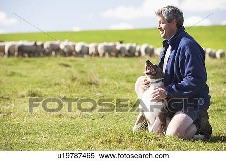 Farm Worker With Flock Of Sheep View Large Photo Image Stock Photography - Farm Worker With Flock Of Sheep. Fotosearch