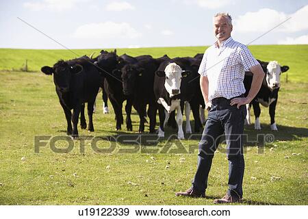 Stock Photo - Farm Worker With Herd Of Cows. Fotosearch
