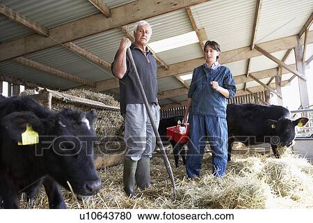 Stock Image - Farmer Having Discussion With Vet. Fotosearch
