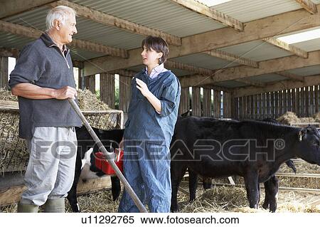 Stock Photography - Farmer Having Discussion With Vet. Fotosearch