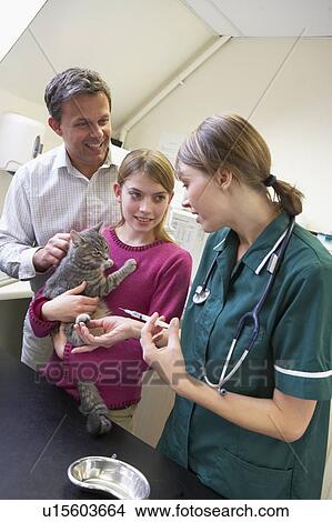 Picture - Girl And Father Taking Cat For Examination By Vet. Fotosearch
