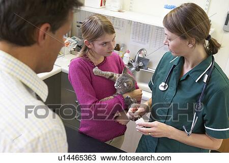Girl And Father Taking Cat For Examination By Vet View Large Photo Image Stock Image - Girl And Father Taking Cat For Examination By Vet. Fotosearch