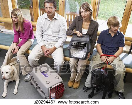 Owners Sitting In Vets Reception Area View Large Photo Image Stock Photo - Owners Sitting In Vets Reception Area. Fotosearch