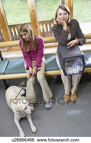 Stock Photograph - Owners Sitting In Vets Reception Area. Fotosearch