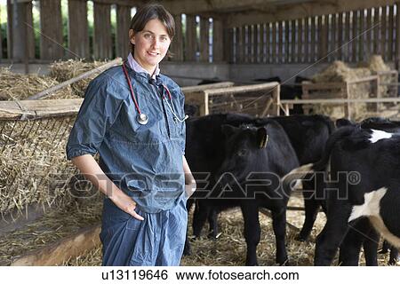 Stock Photograph - Portrait Of Vet In Barn With Cattle. Fotosearch