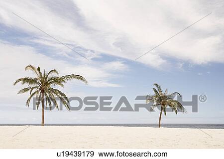South Africa, Palm Beach View Large Photo Image Stock Photo - South Africa, Palm Beach. Fotosearch