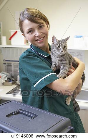 Stock Photograph - Vet Holding Cat In Surgery. Fotosearch
