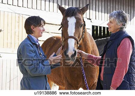 Vet In Discussion With Horse Owner View Large Photo Image Stock Photograph - Vet In Discussion With Horse Owner. Fotosearch