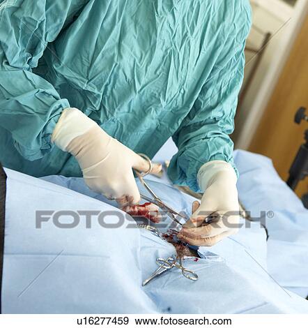 Stock Photo - Vet Operating On Dog. Fotosearch