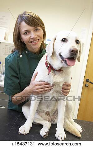 Stock Image - Vet With Dog In Surgery. Fotosearch