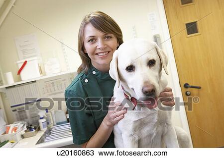 Stock Image - Vet With Dog In Surgery. Fotosearch