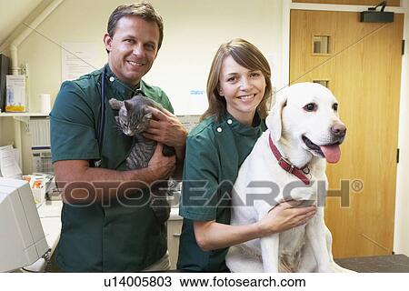 Stock Image - Vetinary Staff With Dog And Cat In Surgery. Fotosearch
