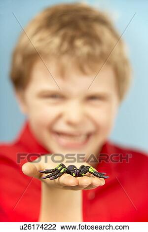 Young Boy Holding Plastic Spider View Large Photo Image Stock Image - Young Boy Holding Plastic Spider. Fotosearch