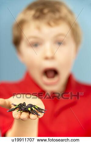 Young Boy Holding Plastic Spider View Large Photo Image Stock Photo - Young Boy Holding Plastic Spider. Fotosearch