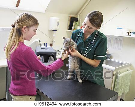 Young Girl Bringing Cat For Examination By Vet View Large Photo Image Picture - Young Girl Bringing Cat For Examination By Vet. Fotosearch