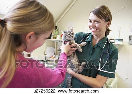 Stock Image - Young Girl Bringing Cat For Examination By Vet. Fotosearch
