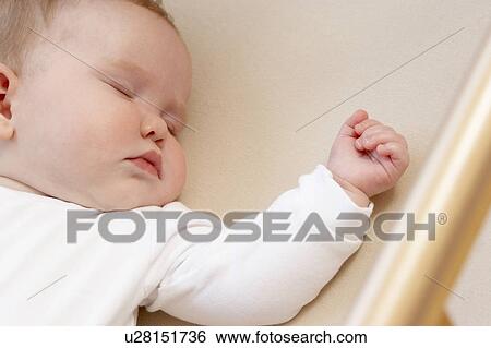Newborn Baby In Cot View Large Photo Image Stock Photograph - Newborn Baby In Cot. Fotosearch