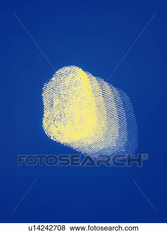 fingerprint, Composite, Blurred Image, Toned Image View Large Photo Image Stock Photo - fingerprint, Composite, Blurred Image, Toned Image. Fotosearch