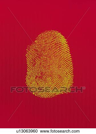 Stock Image -  fingerprint, Composite. Fotosearch