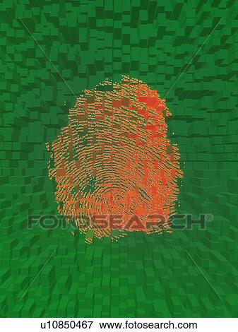 Stock Photo -  fingerprint, Composite. Fotosearch