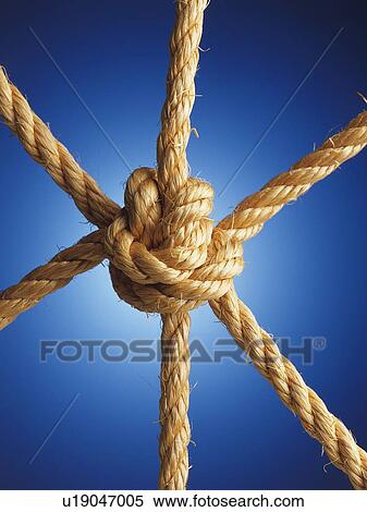 Stock Photography - Knot in ropes, close up. Fotosearch
